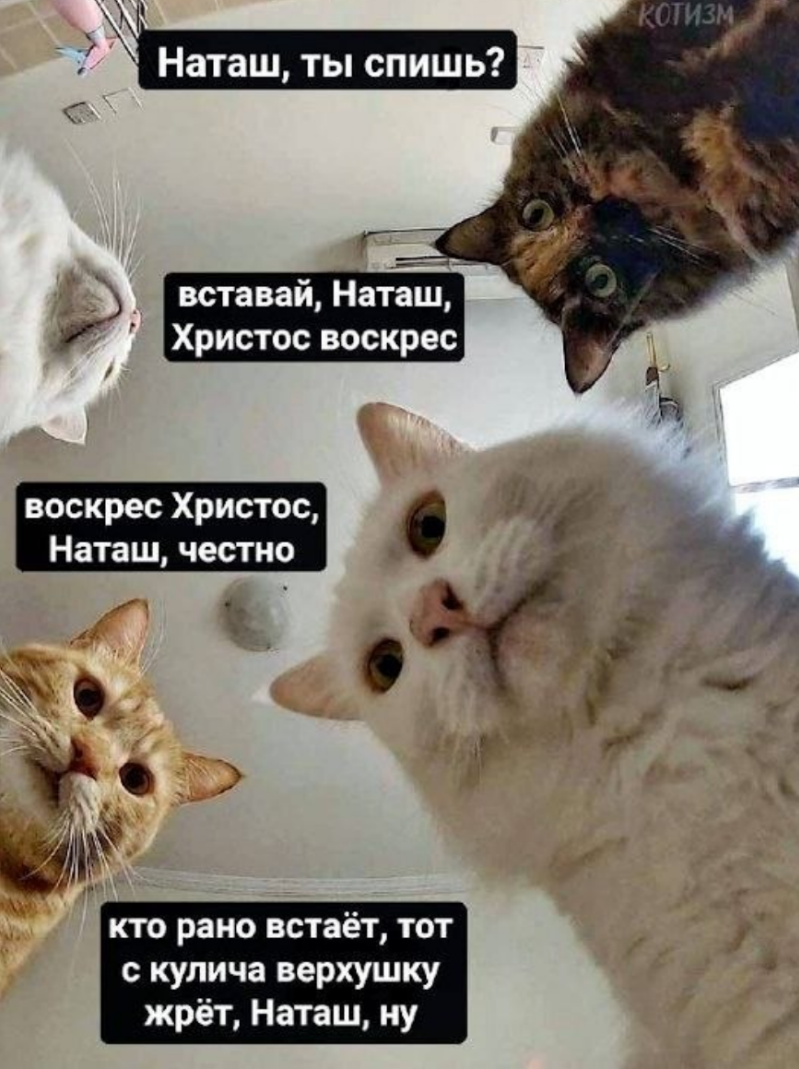 тестовый товар