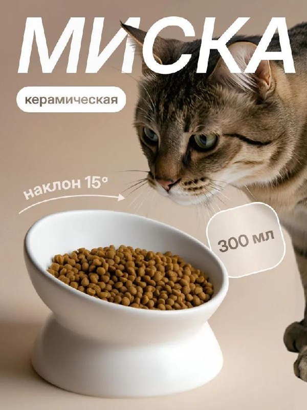 Миска для кошек и собак керамическая на подставке