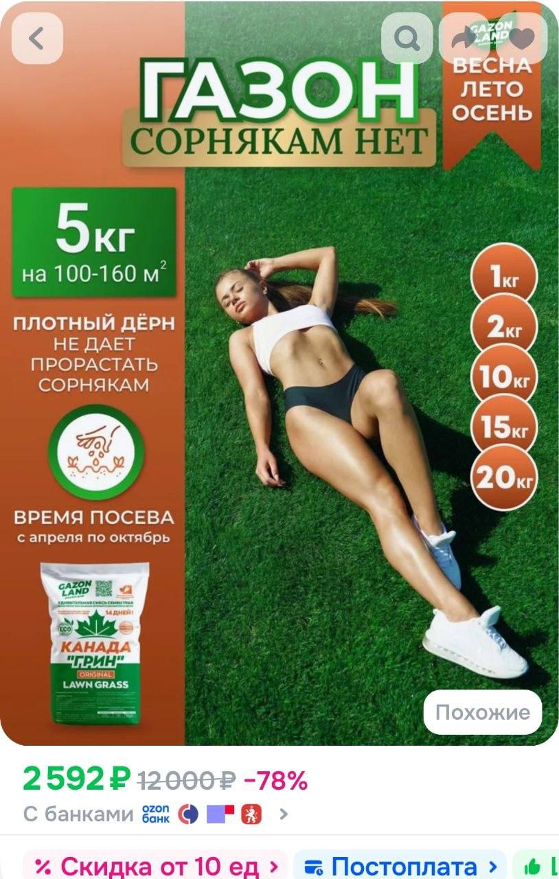 Газон трава